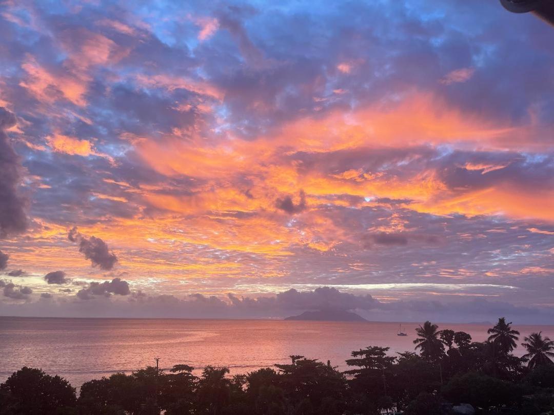 Summer Sand Holiday Apartments Beau Vallon  Eksteriør billede