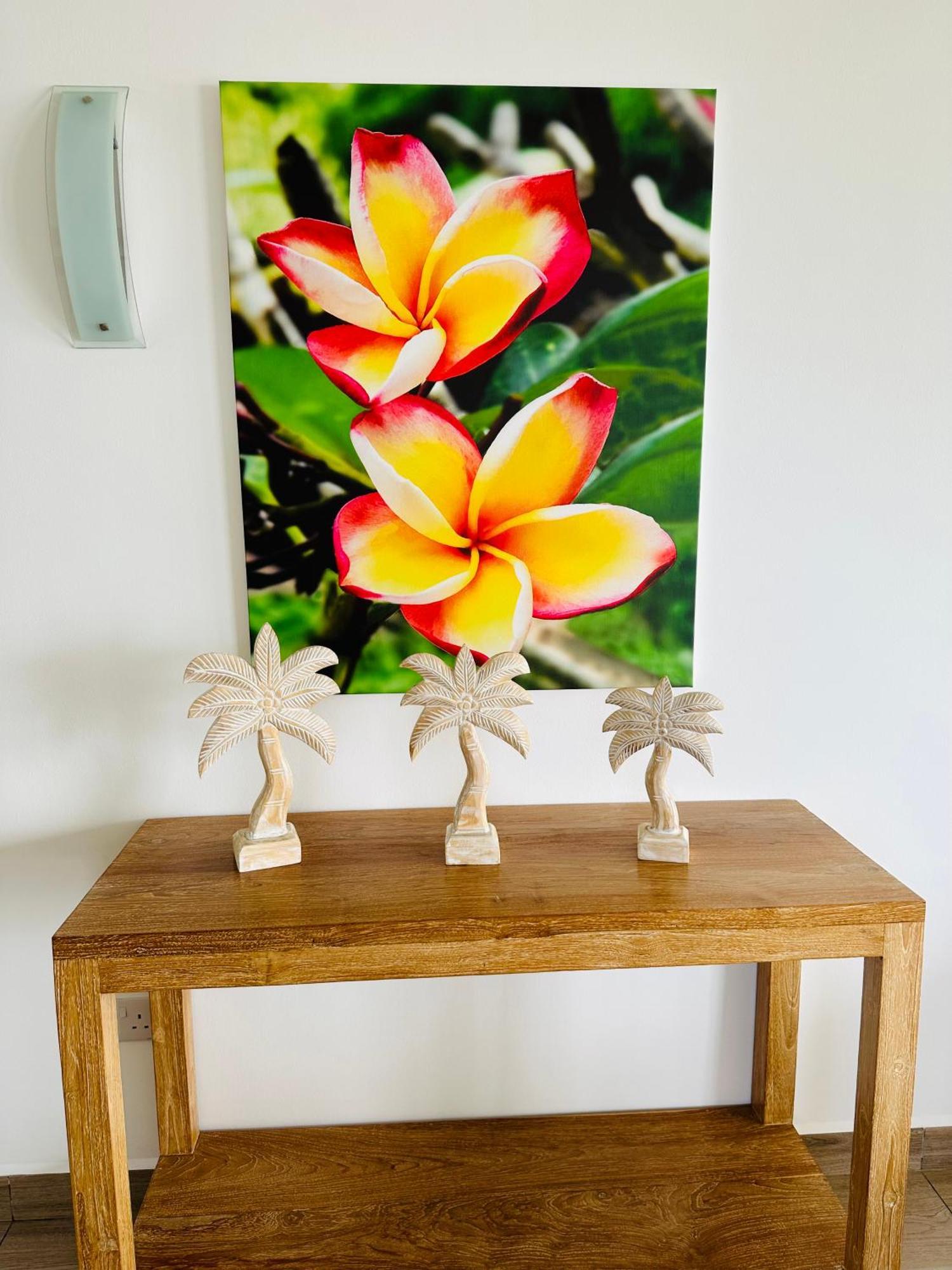 Summer Sand Holiday Apartments Beau Vallon  Eksteriør billede